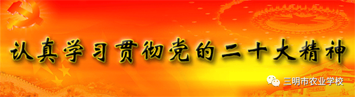 1694132749611211.png